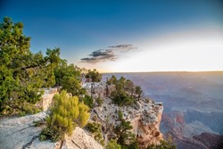 Scenic overlook of the Grand Canyon South Rim at summer sunrise, Arizona