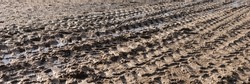 Panoramic image. Tire tracks in the mud