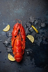 Boiled cooked red whole lobster ready to eat served with lemon wedges and ice cubes top view flat lay on blue concrete stone background, seafood concept  