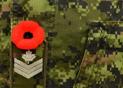 Red Poppy on the Canadian military uniform. Canadian soldiers. Army of Canada. Remembrance Day. Poppy day. 