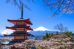 Chureito Pagoda with sakura & Beautiful Mt.fuji View
