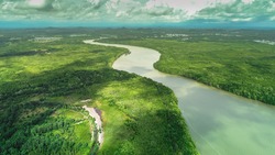 Aerial view mangrove forest area