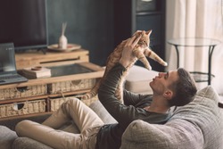 Owner playing with cat while relaxing on modern couch in living room interior. Young man resting with pet in soft chair at home.