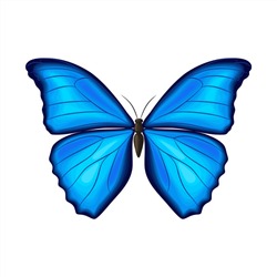 Blue Butterfly Illustration - Free Stock Photo by maa illustrations on ...