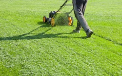 Lawn mower mower, grass, equipment, mowing, gardener, care, work, tool, 