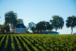  The Medoc district of Bordeaux famous for wine france