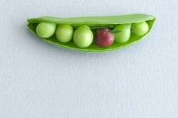 Peas in a pod with miniature apple, balanced diet concept 