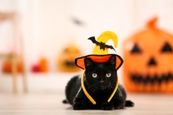 Black cat in halloween hat lying on the floor