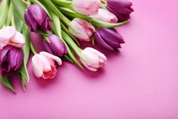 Bouquet of tulips on a pink background