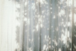 Sunny light and tree shadows on window blind curtains