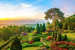 Beautiful garden of colorful flowers on hill in the morning