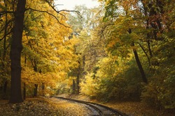 Railroad tracks through autumn forest with colorful trees
