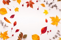 Colorful fallen leaves forming round frame for promotion on white background, copy space