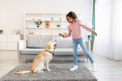 Dog Training Commands Concept. Positive black girl teaching pet at home in living room, playing with golden retriever and rewarding him with treats, standing indoors and giving animal food