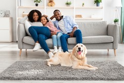 Resting At Home Concept. Portrait of happy black family relaxing, hugging and sitting on the sofa, looking at their pet. Golden retriever lying on the gray floor carpet in living room