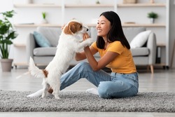 Cheerful young asian woman training her fluffy dog jack russel terrier at home, giving treats for success and smiling, side view, copy space. Obedience training for dogs concept