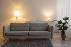 Retro sofa, carpet, glowing lamps in evening, plant in pot on floor and furniture in living room interior, free space. Cozy apartment, minimalist house design, ad for sale and rental of real estate
