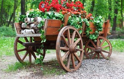 The cart with flowers. Scarlet red geranium flowerbed in retro styled old wooden wagon with birch firewood. Cranesbill in park landscape design, modern landscaping