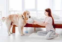 Beautiful teenager girl gives food to golden retriever dog in the bedroom at morning. Kid feeding pet doggy in the room with sunlight. Friendly relationships between human and animal