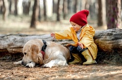 Little girl child with golden retriever dog sitting on the ground close to log and going to hug doggie in autumn forest. Female kid and pet portrait at nature