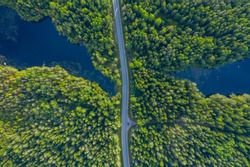 The time of year is summer. Road through a country of pine forests and lakes aerial view