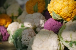 White, pink and yellow cauliflower with sun beams on it.