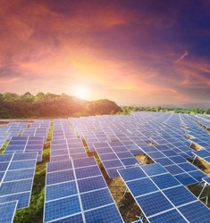 Solar panels with sunset  sky (Solar farm)