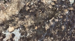Backdrop texture photo of stone in black and brown colored mold, closeup photo.