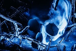 Close up horror scary photo of human skull laying on frozen ice surface forest ground.