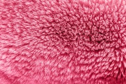 Backdrop close-up photo texture of pink colored animal fur material.