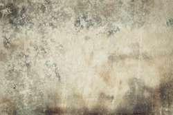 Designed abstract old stained moldy paper background 