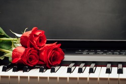 piano keys and red rose with copy-space