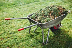 wheelbarrow with grass on green lawn background