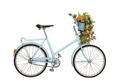 Old retro blue bicycle with flowers bouquet in basket isolated on white background