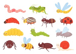 Cute insects vector illustration set. Cartoon colorful funny insect characters for childish kids collection with grasshopper ant bug dragonfly worm spider fly ladybug bee beetle isolated on white