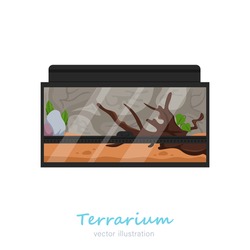 Beautiful rectangular terrarium image. Exotic pet in your house. Reptile house. Animal case. Editable vector illustration isolated on a white background. Colorful cartoon flat style. Graphic design