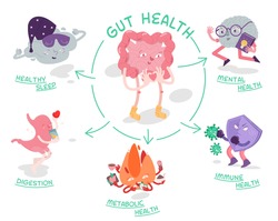 Why gut health matters. Scientific poster with characters. Medical infographic. Digestion is important. Stomach function. Editable vector illustration in modern outline style. Healthcare concept