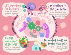 Interesting facts about your microbiome. Useful medical infographic with cartoon characters in a trendy style. Editable vector illustration on a pink background. Landscape banner. 