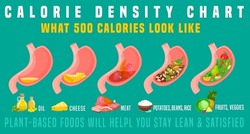 Calorie density. What 500 calories look like in the stomach. Horizontal medical poster. Colorful infographic. Healthy eating concept. Editable vector illustration isolated on a green background.