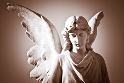Beautiful angel in sepia