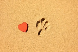 I love my dog message written in the sand at the beach. Dog paw print and heart, concept design for pet lovers, a condolence concept for death of a pet dog
