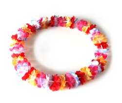 Colorful of a circle of lei flowers, isolated on white background