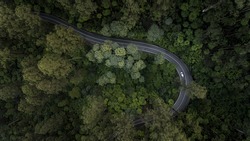 Aerial View of Car Driving Down Road Through Forest