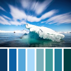 Kittiwakes on an iceberg in the arctic ocean, Svalbard, in a colour palette with complimentary colour swatches.