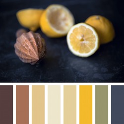 Juicing fresh lemons with a wooden juicer, focus on tip of juicer. in a colour palette with complimentary colour swatches.