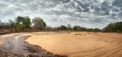 A panorama of a dry riverbed in Kruger national Park, South Africa, suddenly flows from sudden heavy rainfall, ending many months of drought. 