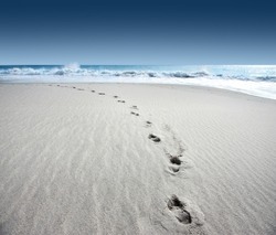 footprint on the beach
