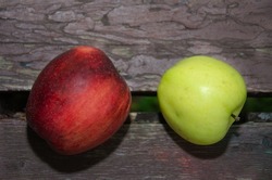 ripe apples on an old wooden surface, apple fruit, two ripe apples