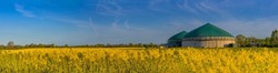 Panorama view of countryside with biogas plant. Yellow flowering rapeseed field with agricultural factory in the countryside. Renewable energy from biomass. 
