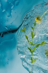 Abstract background of frozen medicinal herbs in ice, concept of cryotherapy for skin care